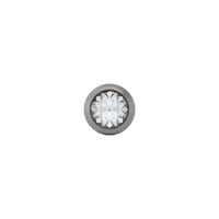 Náušnice-3mm bílý krystal ve fazetě - titan (507) 